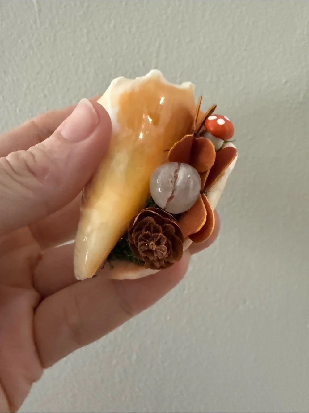 Handmade Cream and Brown Fall Seashell